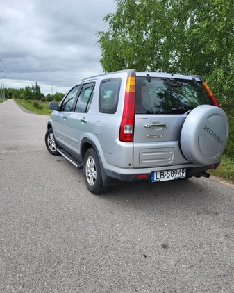 Honda CR-V cena 19500 przebieg: 258080, rok produkcji 2004 z Międzyrzecz małe 121